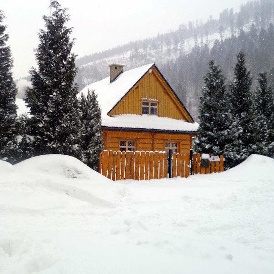 Sno House Villa Szczyrk Kültér fotó